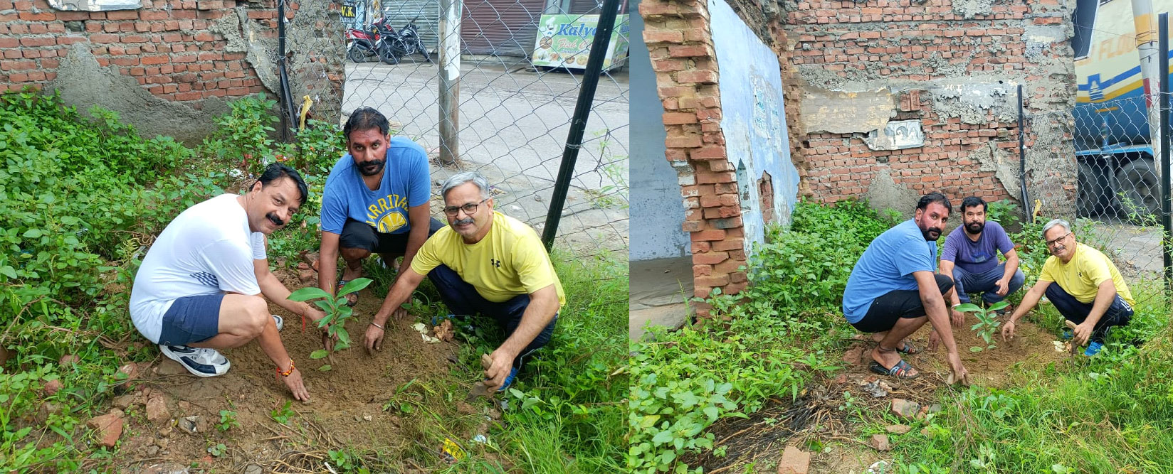 Celebrated Independence Day by planting trees